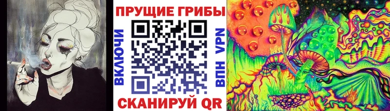 блэк спрут маркетплейс  Екатеринбург  Псилоцибиновые грибы Cubensis 