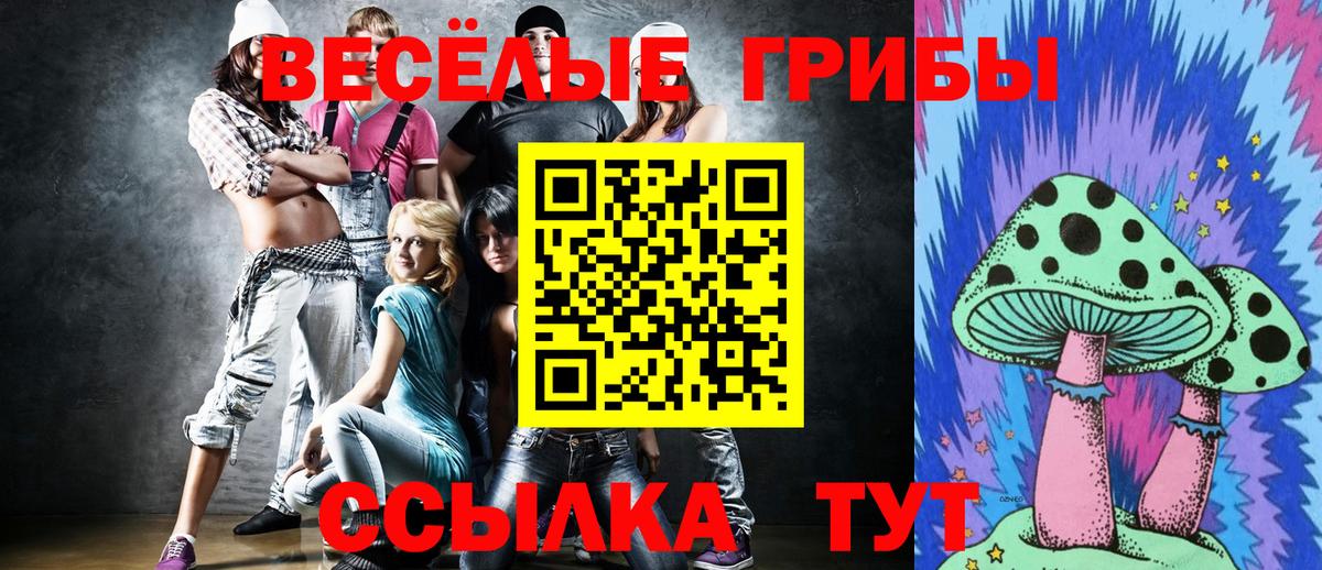 Екатеринбург  Галлюциногенные грибы прущие грибы  Вход с VPN  Псилоцибиновые грибы Psilocybine cubensis 