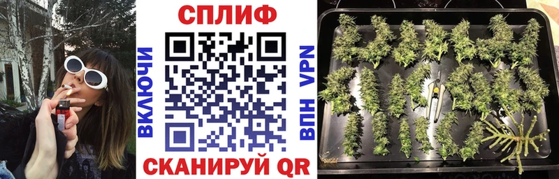 Канабис конопля  Екатеринбург 